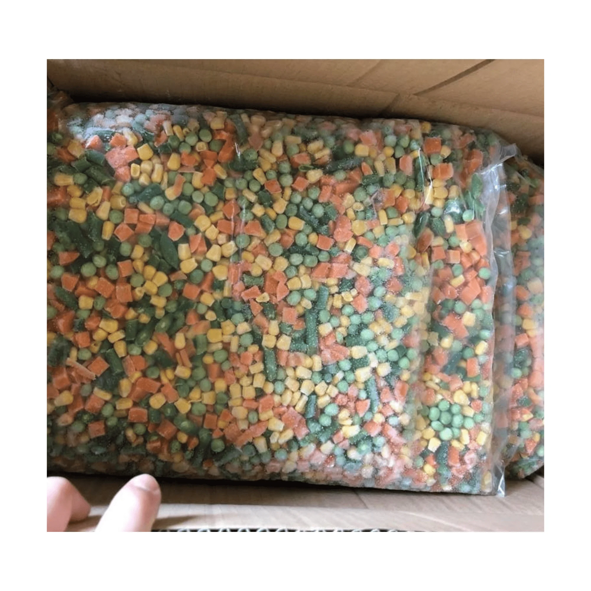 [HOT DEAL 2024] FROZEN MIXED VEGETABLES HIGH QUALITY AND COMPETITIVE PRICE FROM 99GD VIETNAM FOR SALE
