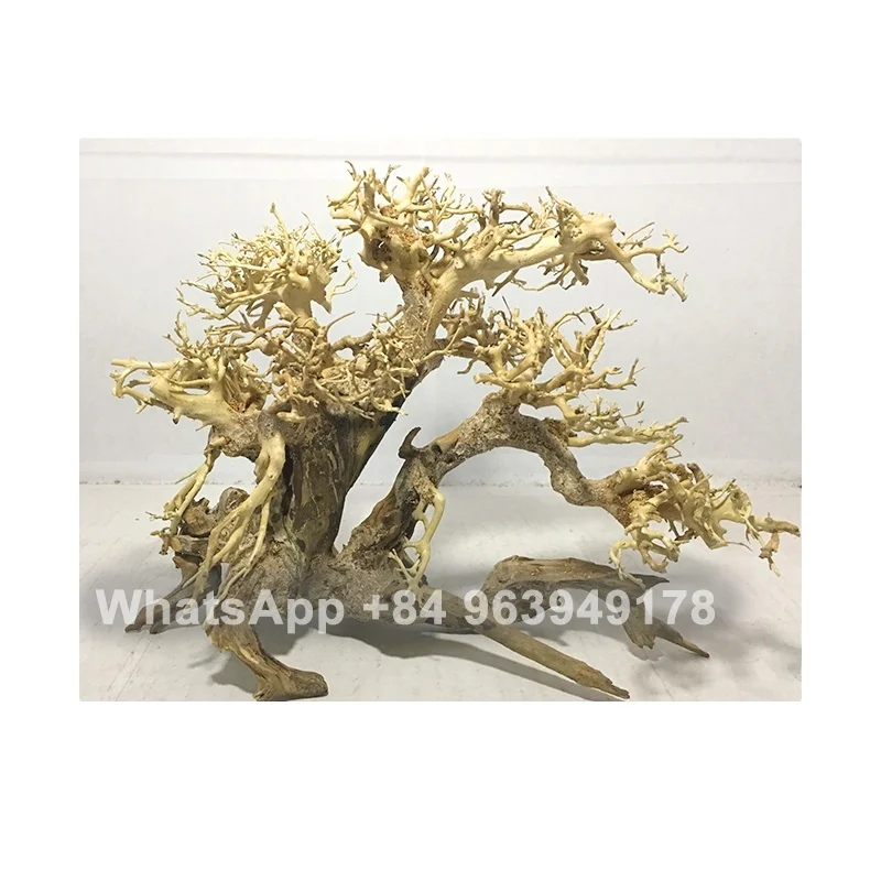 2024 Топ оптом бонсай коряги для аквариумных украшений WhatsApp: + 84 961005832