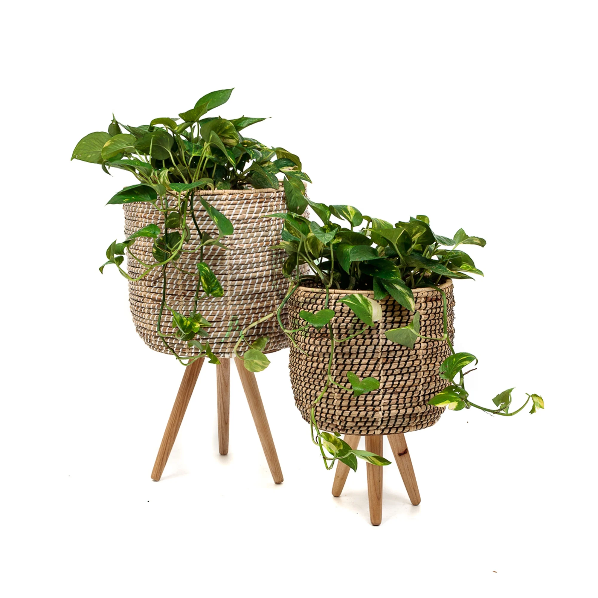 Scandinavian decor seagrass planter with wood plant holder also tall wicker flower pot stand indoor