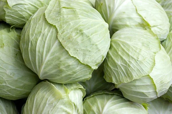 Cheap Price Fresh Vegetables 1-2.5kg/pcs Sakata Fresh cabbage With Export quality From Hai Duong Vietnam