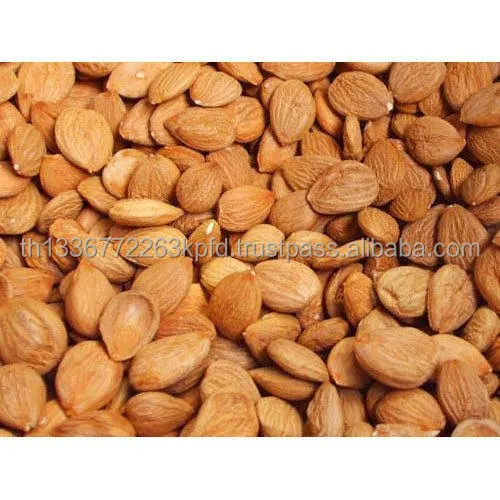 apricot-seeds-500x500.jpg