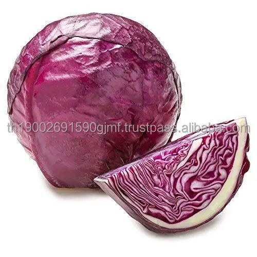 red-cabbage-500x500.jpg