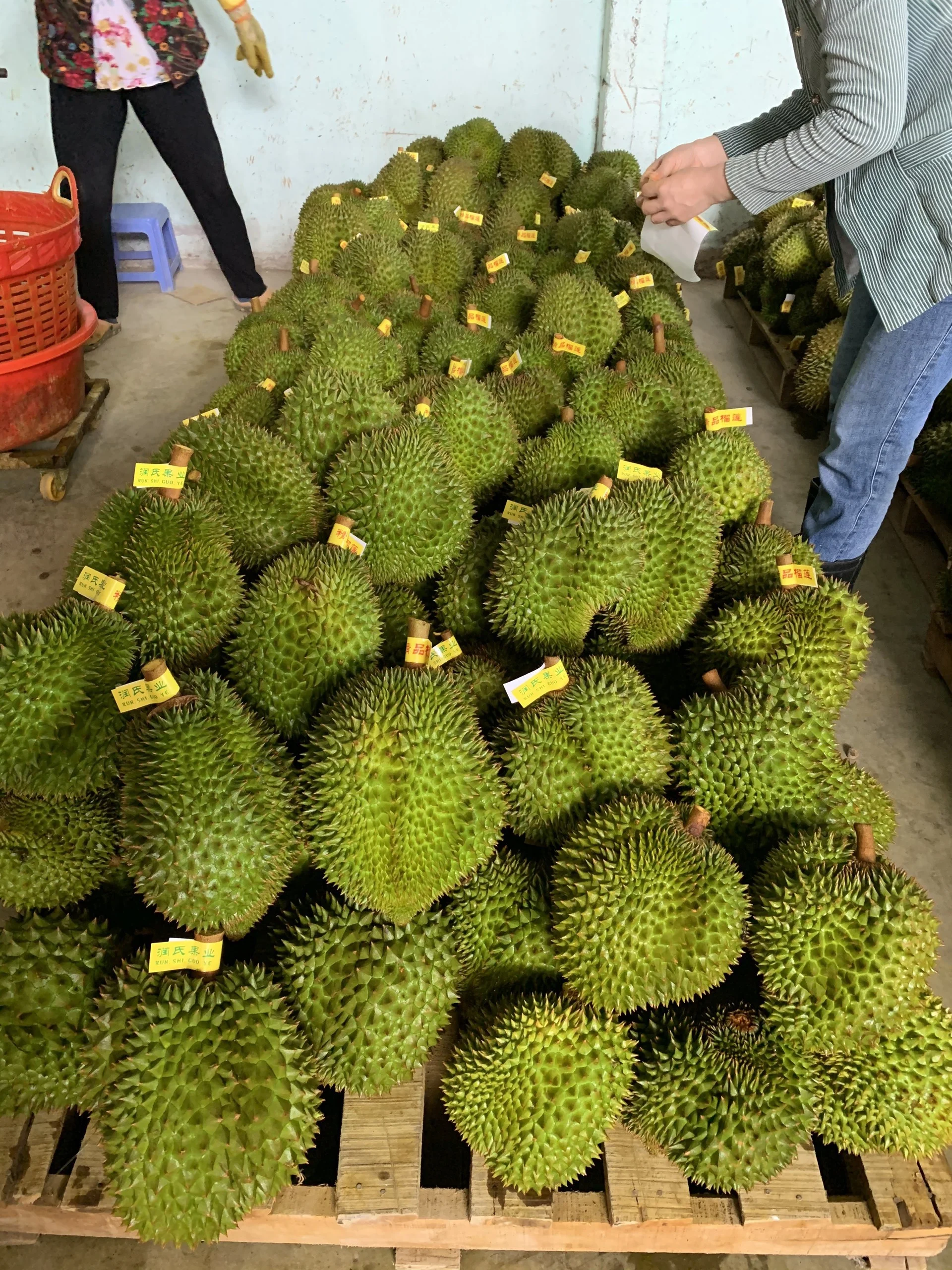  Свежий дуриан высшего качества без консервантов специальный вкус 100% натуральный свежий из Вьетнама