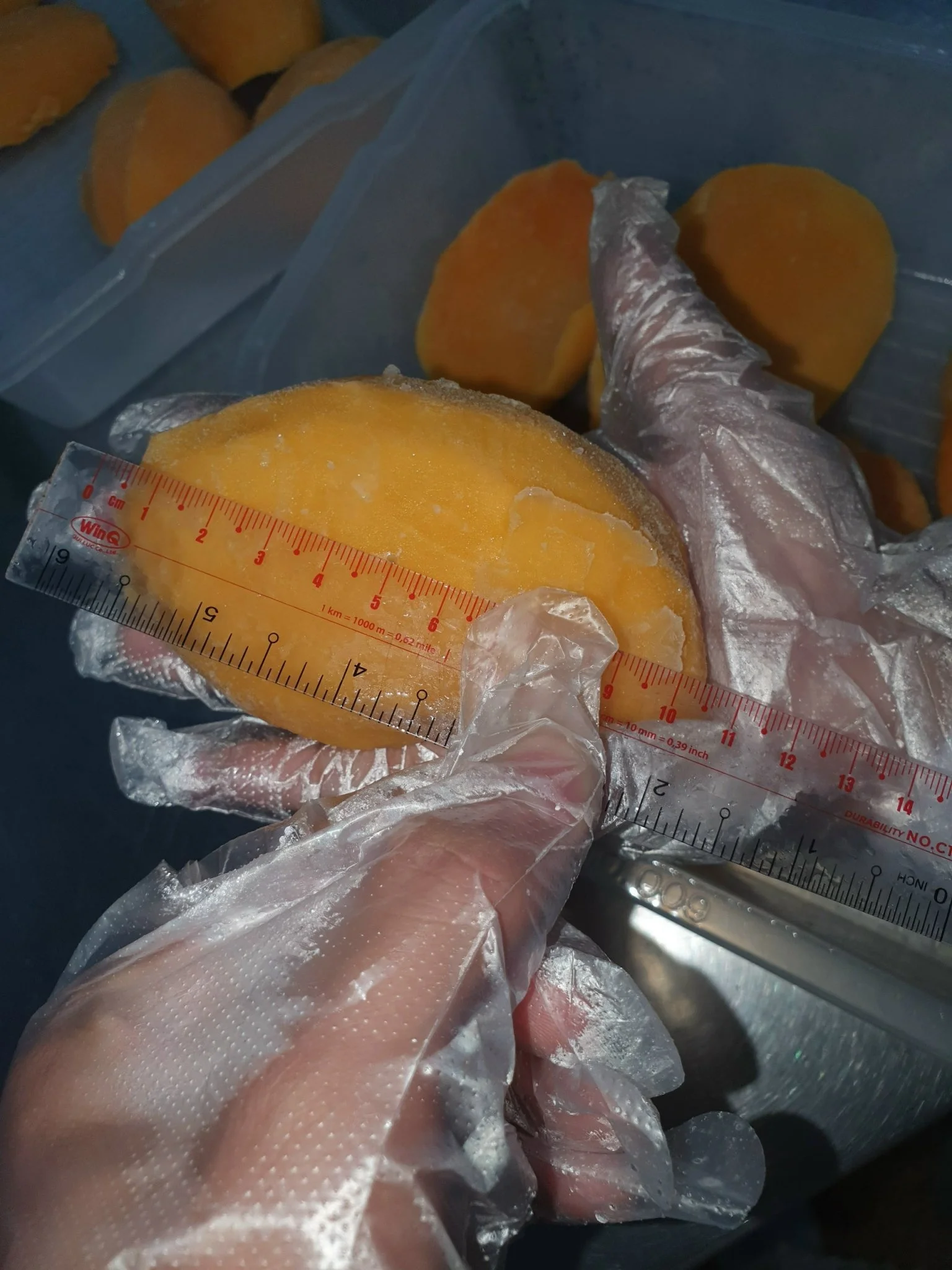 
IQF FROZEN MANGO (KAEW) HALVES/ SLICED HIGH QUALITY FROM VIETNAM WHOLESALE 
