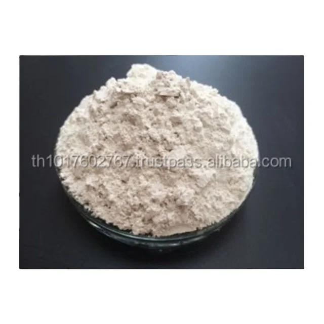 High Quality Talcum Talc Powder 325 mesh for Paint Industry