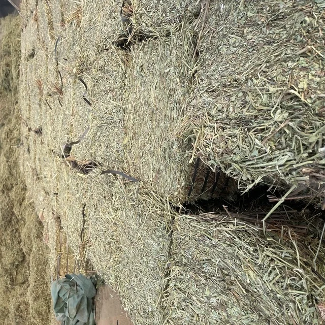 High Quality 100% Pakistani Moisture Controlled Peanut Hay for Sale in Bulk Quantity