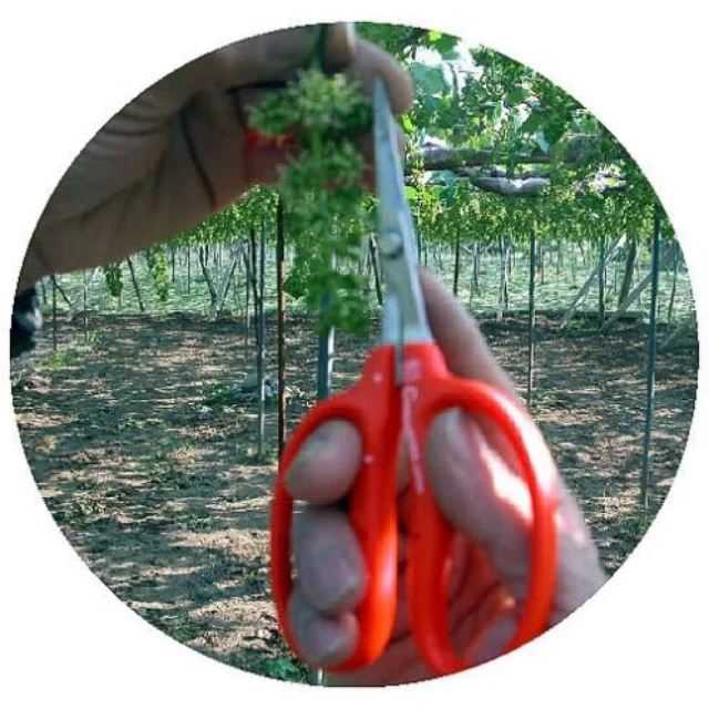 Professional Handheld Unique Garden Shears Bonsai Pruning Scissor