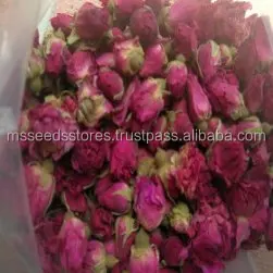 Dried Red Rose 1.jpg