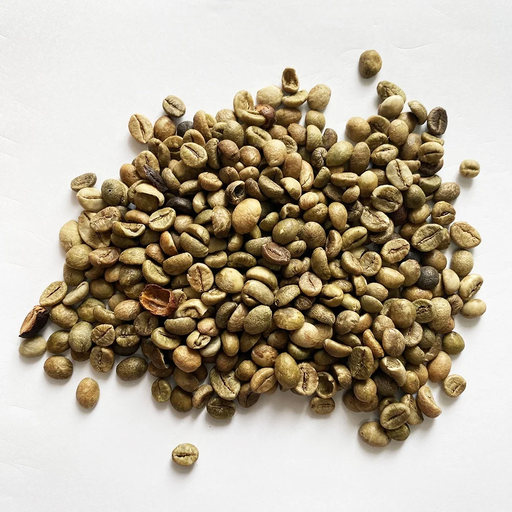 Food and beverage coffee beans arabica green coffee pack drink bottle coffee bean green