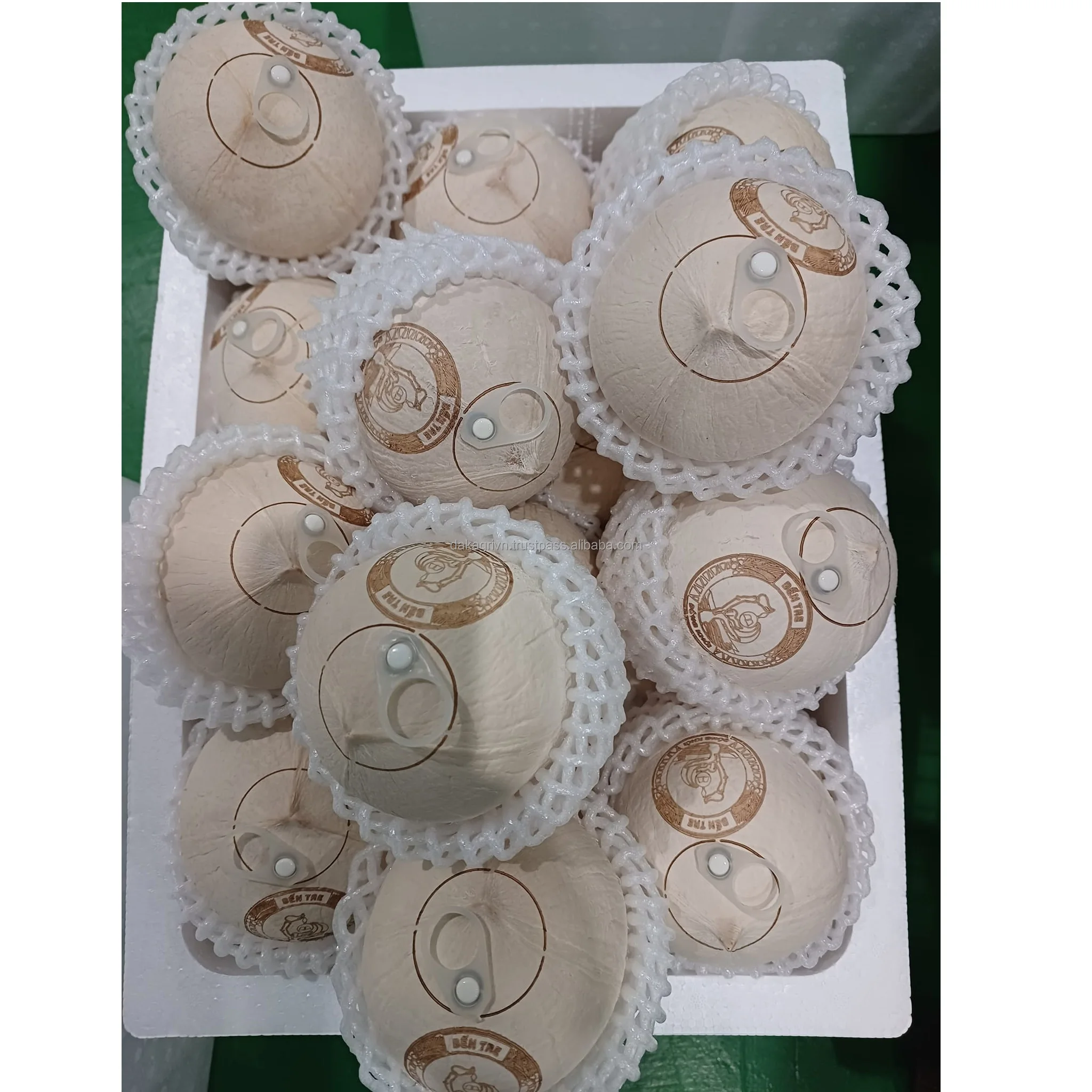 Wholesale Natural Coconuts Fruit Drinking Diamond Shape Easy Open Sweet Delicious Fresh Young Coconut With 90 Days Shelf Life
