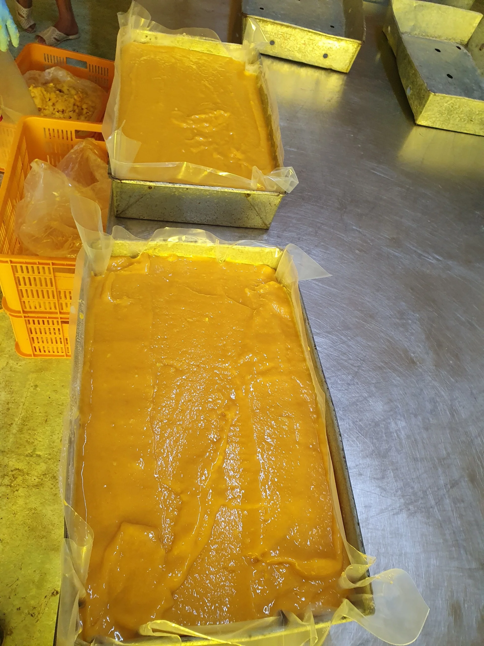 IQF Frozen Mango 100% natural sweet/ Mango Sliced / Mango Puree manufacturer price