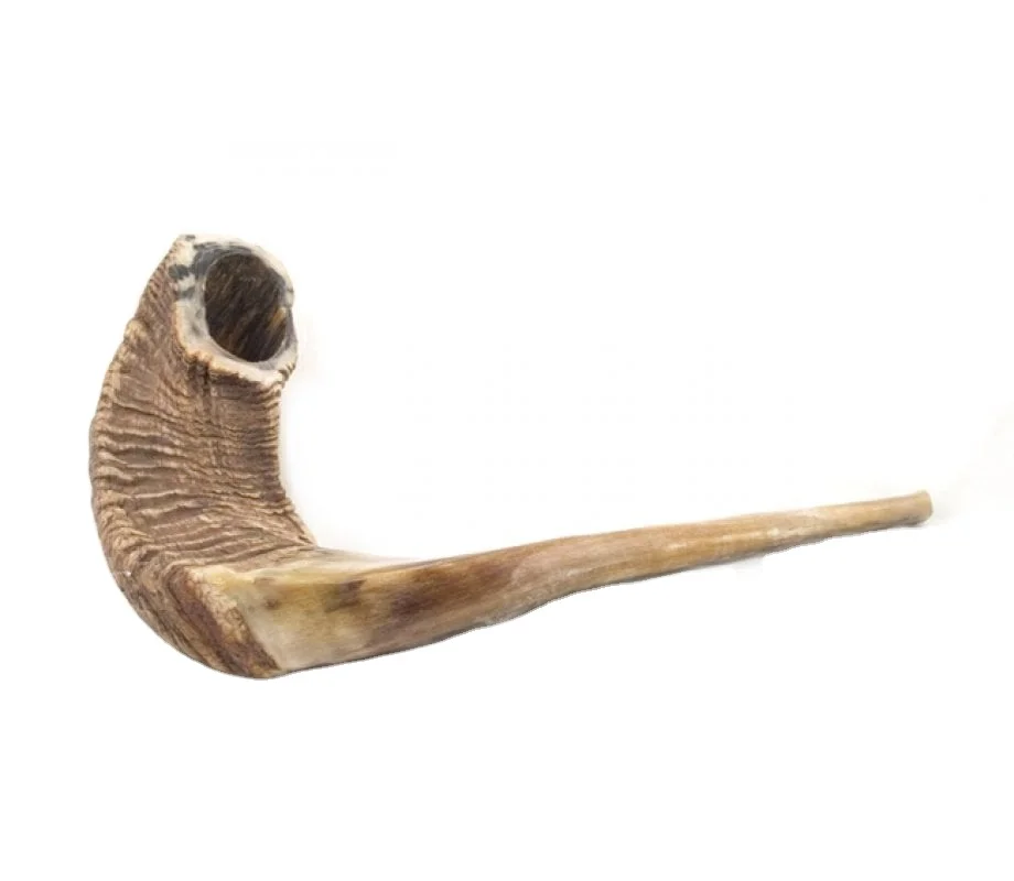 Hot selling natural ram shofar horn for blowing with exciting offer Shofar / Kudu / Ram Horn / Polished Shofar