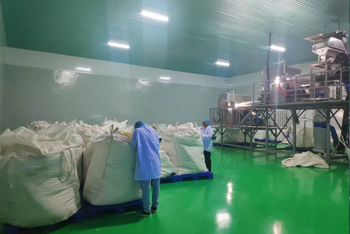 Wholesale High Quality Cheap Benin Cashews Wholesale Organic Raw Cashew Nuts For Good Health +84368591192 Mr. Henry