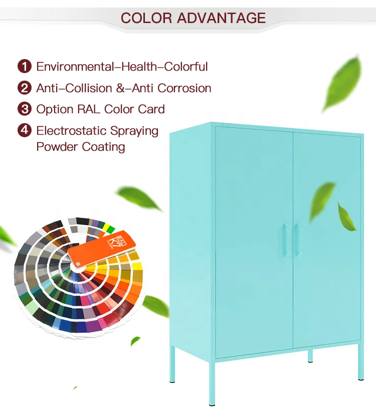 Шкаф для хранения двойная металлическая дверь небольшие цветные шкафы на заказ мебель помещений разборная стальная