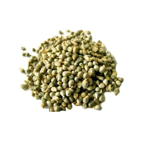 green millet export from india