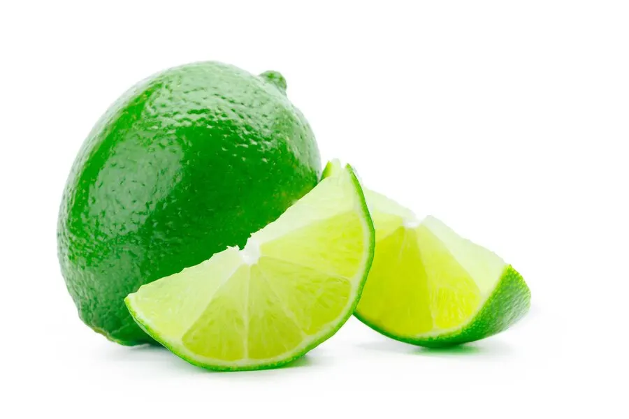 Natural Fresh Seedless lemon from Vietnam Pure Sour Flavor Lime and Lemon without Seed for Wholesale