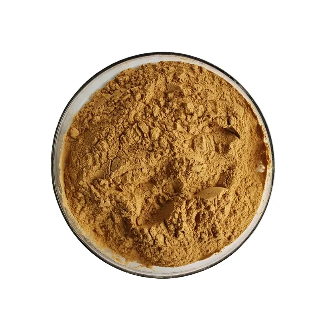 Manufacturer Bulk Natural Cordycepin Pure Cordyceps Sinensis Extract Powder for Export