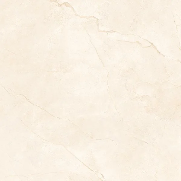 Foshan High Quality 600x600mm Albedo Saturio Gray Modern Polished Porcelain Floor Tiles Supplier From India 60x60/24x24
