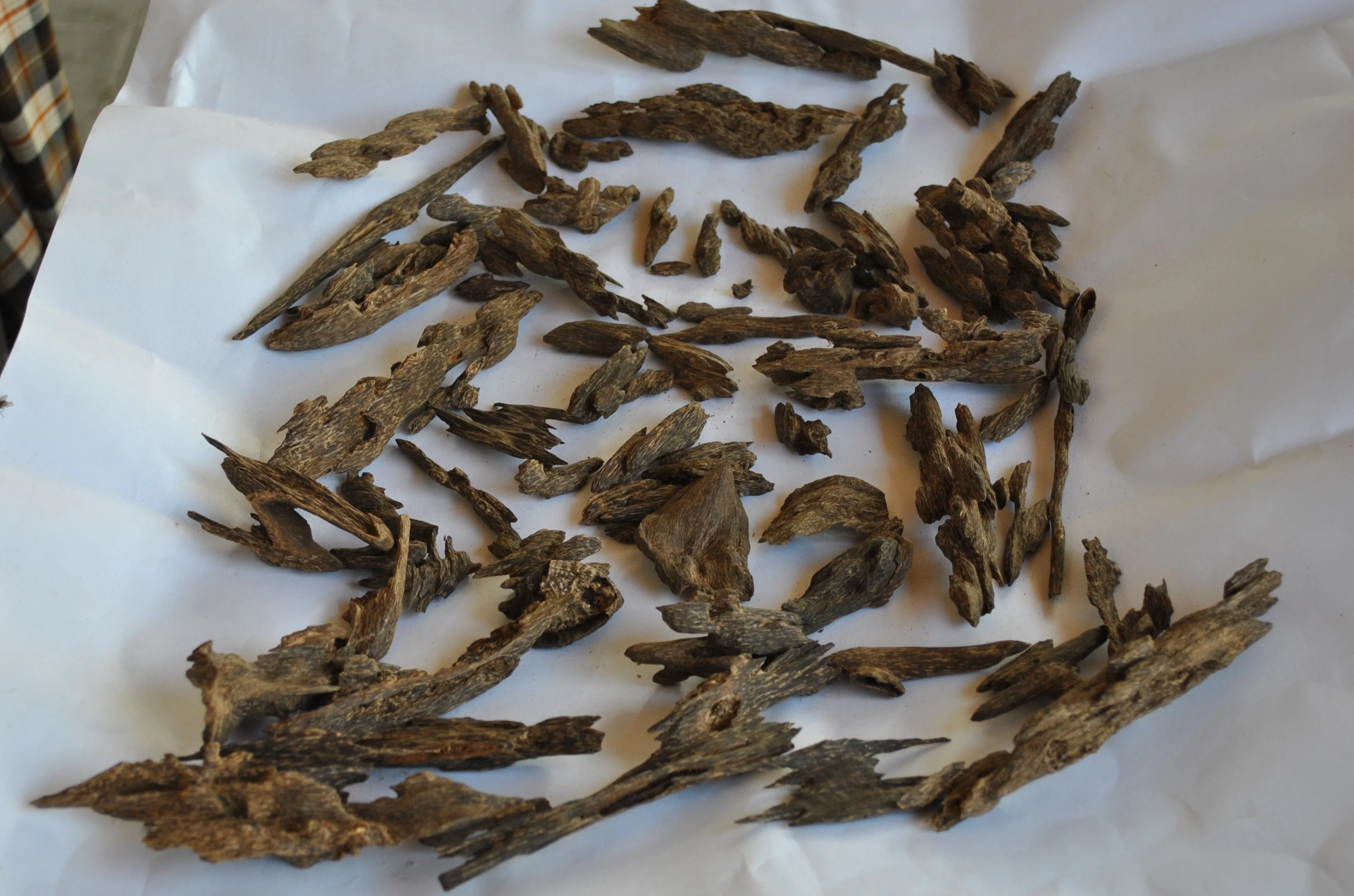  Эфирное масло OUD LIMITED EDITION TRIPEL SUPER KALIMANTAN