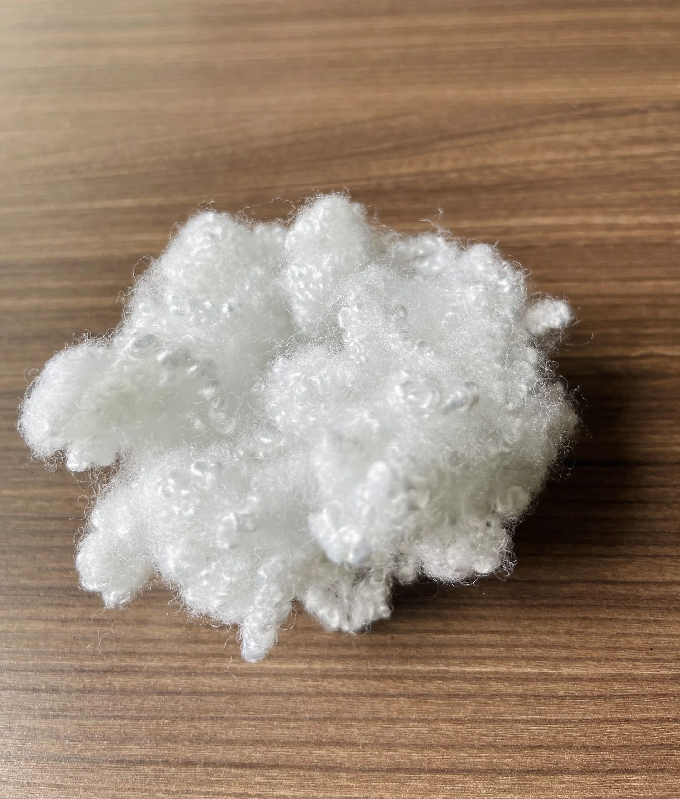 Hollow Conjugated Siliconized Polyester Staple Fiber HCS  white 7D64mm from largest fiber factory in Vietnam