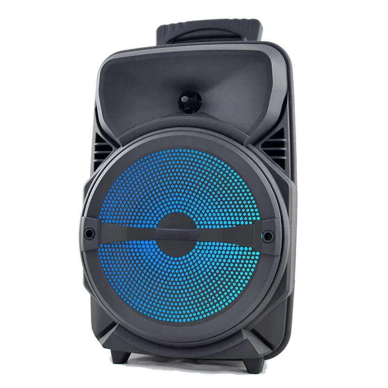 Wireless Bluetooth Lighted Speaker FM Radio USB Flash Drive Built In Battery Microphone Disco Party Speaker