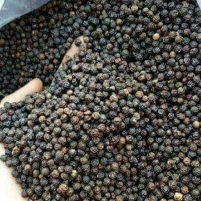 Bulk dried whole black pepper from vietnam best price