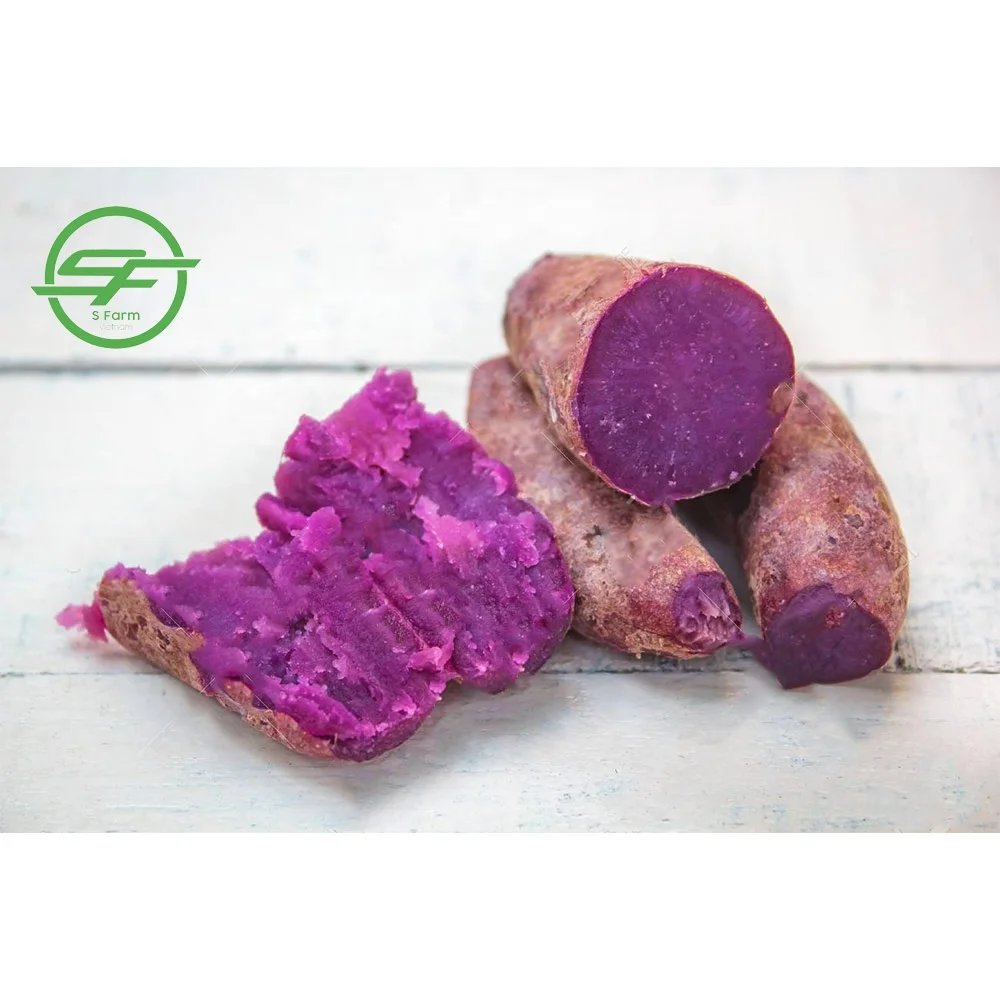  Хорошая цена фиолетовый сладкий картофель (Whatsapp/zalo/wechat: + 84 912 964 858)