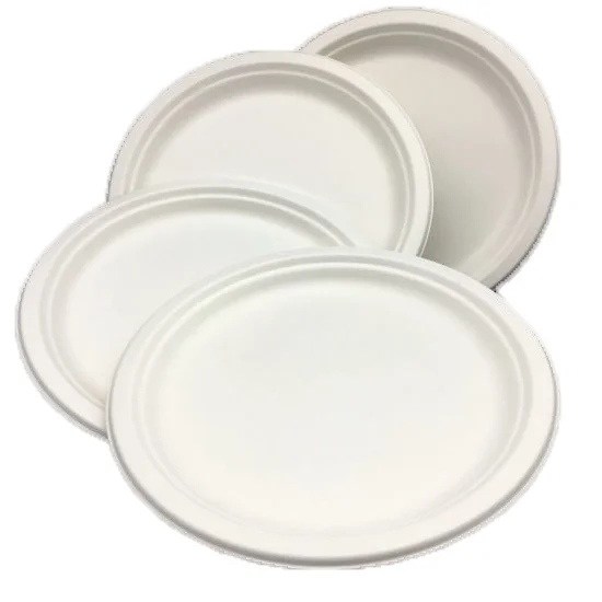 100% Biodegradable customized Bagasse Plate Bowl Cup Straw Clamshell box Sugar cane burger box Party Recyclable food container