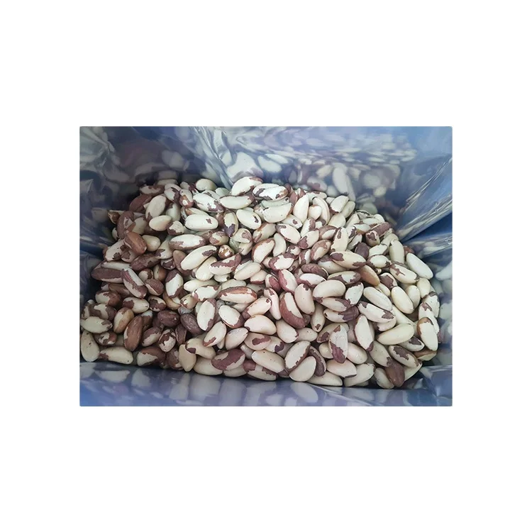 Bulk Distributor Selling Top Quality Fresh Crop Best Protein and Essential Amino Acids Brazil Nuts From Peru