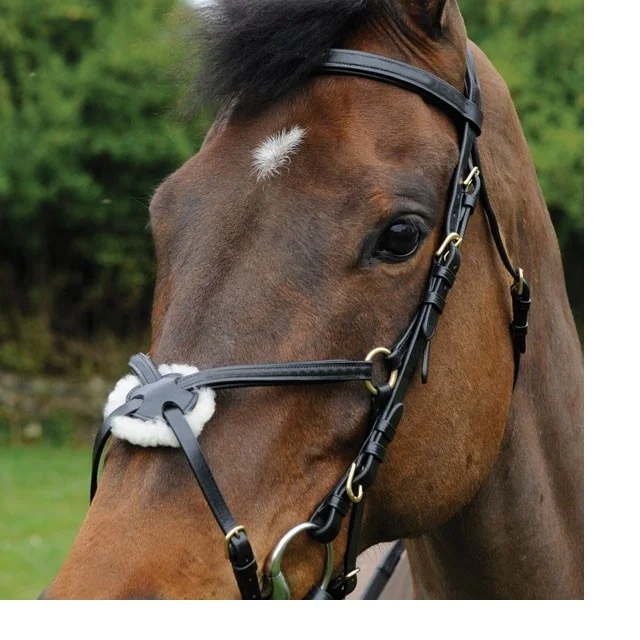 Horse Equine Products Anatomic Headpieces