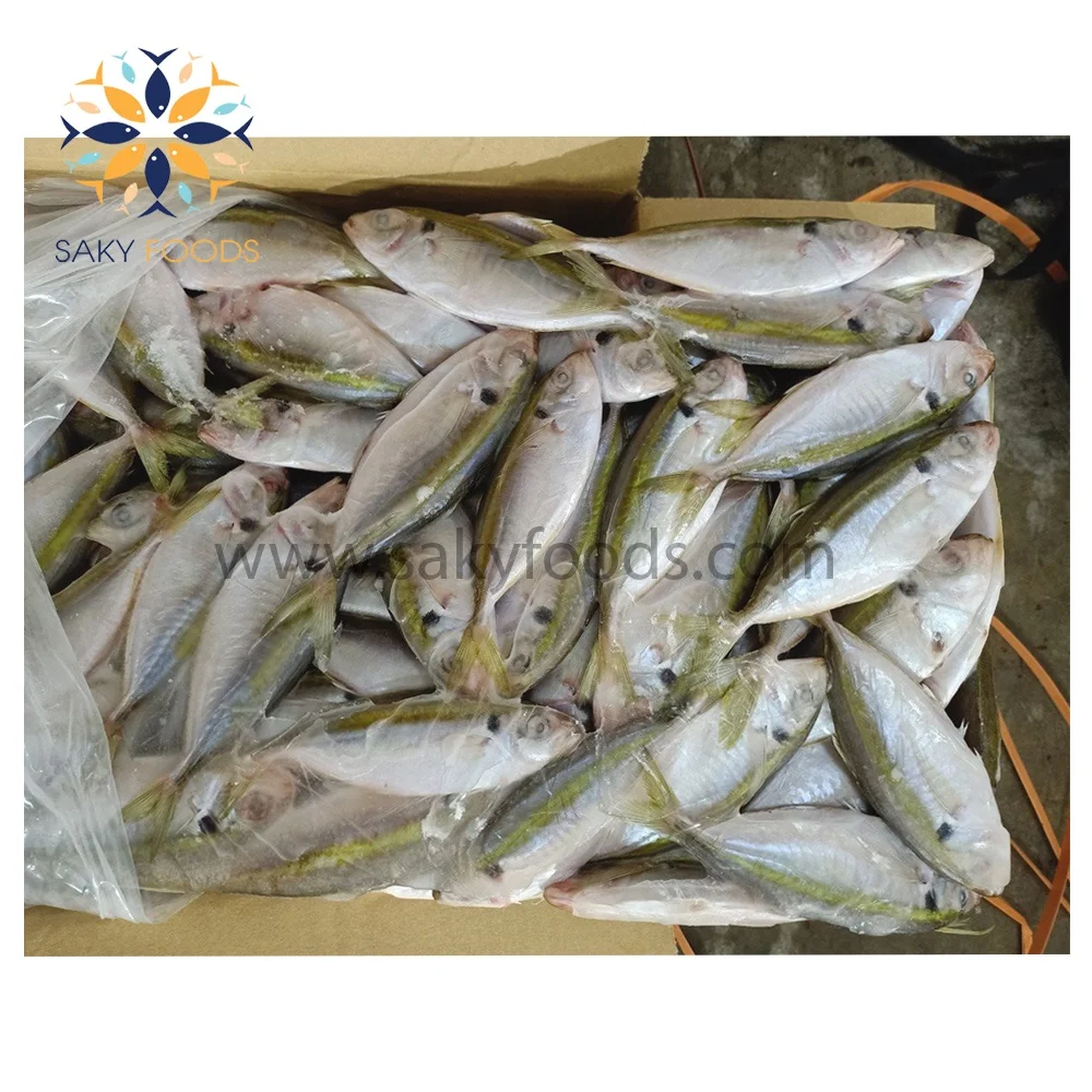 High Quality Seafood Frozen Yellow Stripe trevally fish sale good price