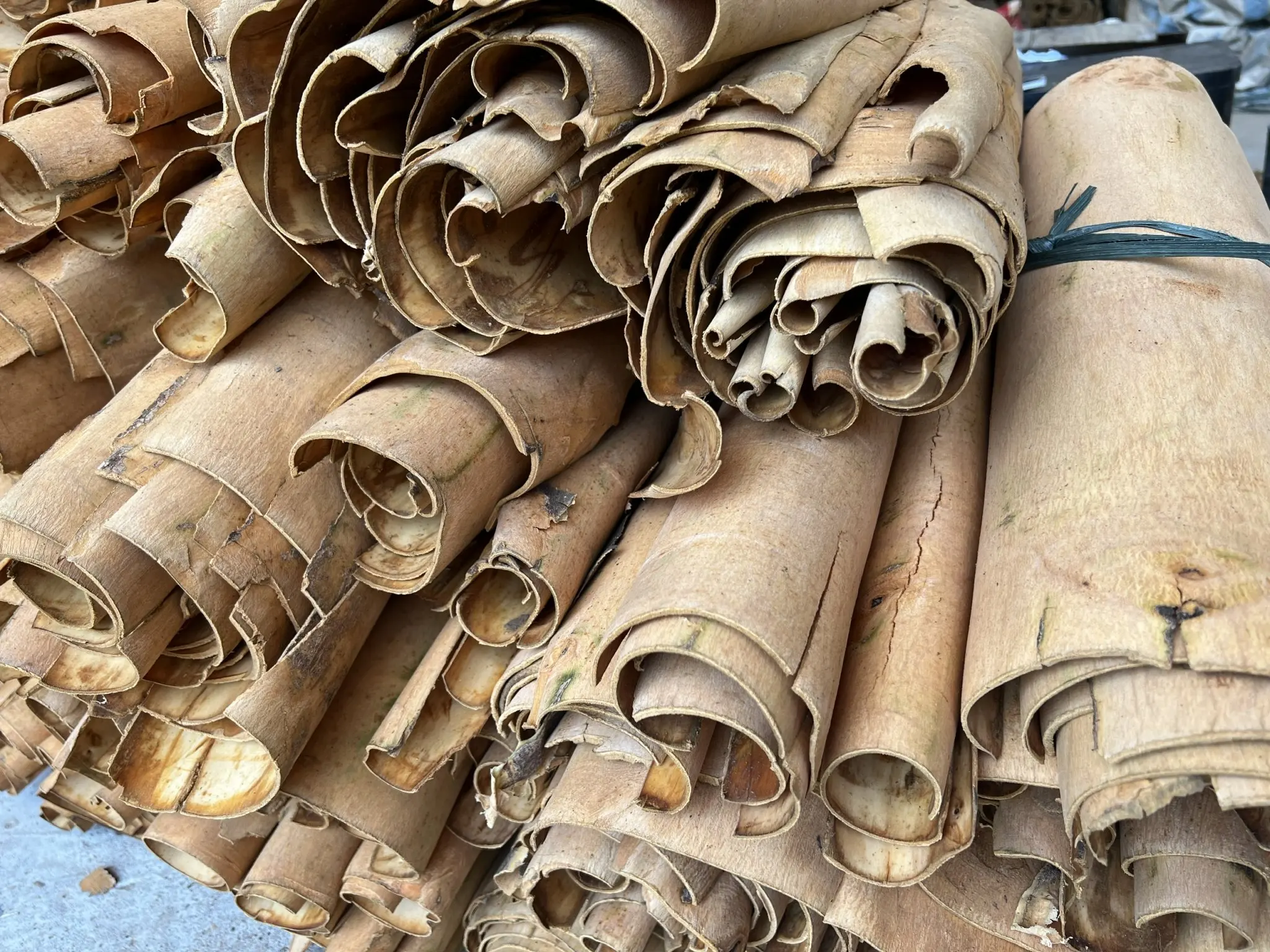 cigarette cassia sticks Hot product spices & herbs100% Natural Dried Cinnamon from Vietnam(+84 393 411 961)