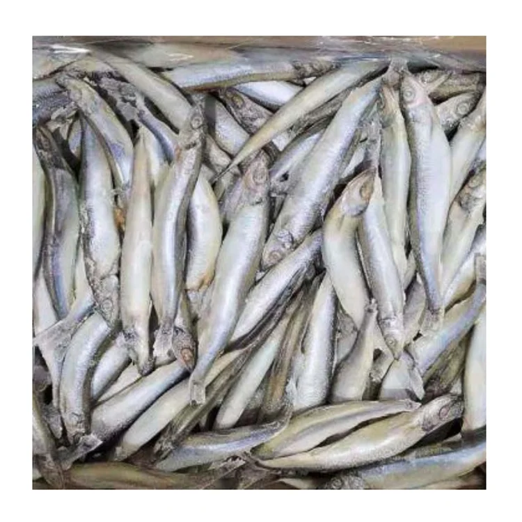 SANFENG SEAFOOD Frozen Female Capelin Fish For Sale