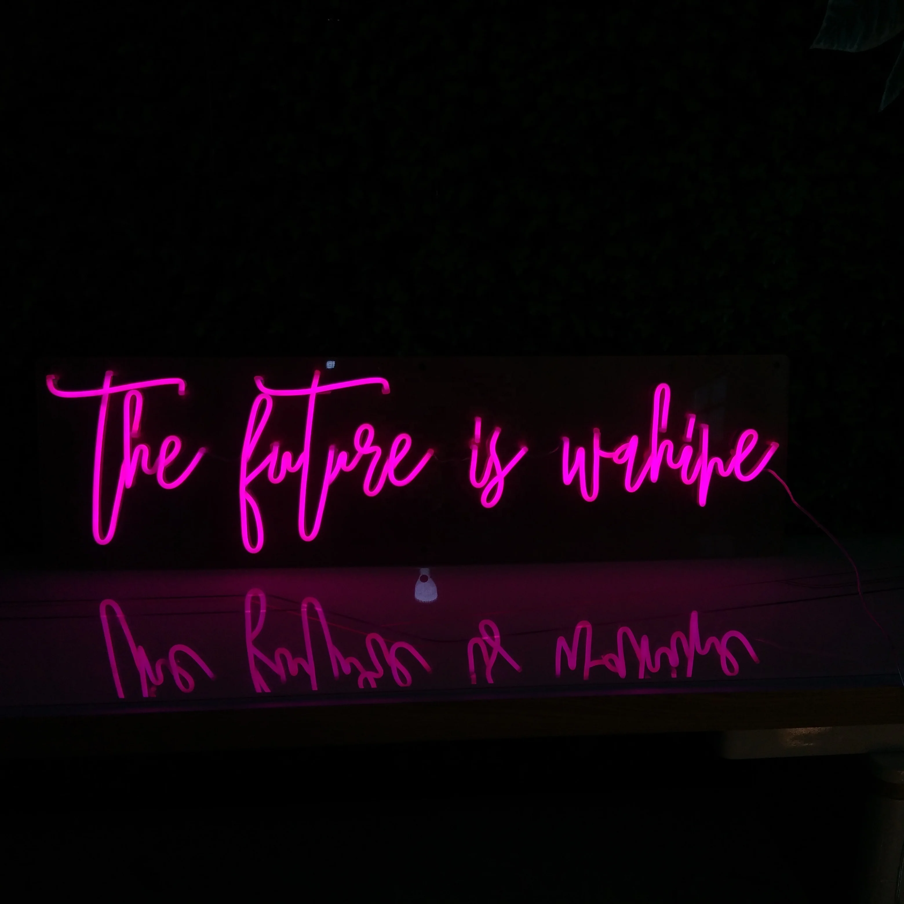 Winbo Wall Art Sign Bedroom Decoration Rainbow Hanging Fashion Custom Neon Animal Lights Night Lamp Led Neon Light For Home