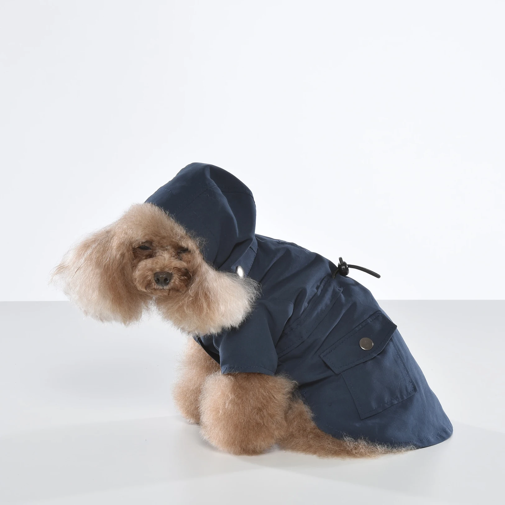 ODM Taiwan elegant dog clothes Topcoat windbreaker for small dogs