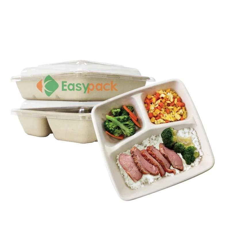 Disposable Take Out Box Fast Food Containers with Plastic Lid
