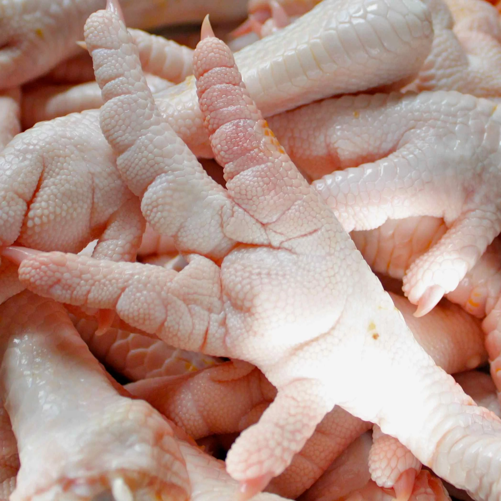 
Leg Bonless Frozen Chicken Feet - Poultry Feet 