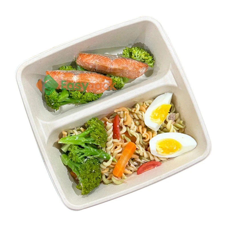 Disposable Take Out Box Fast Food Containers with Plastic Lid
