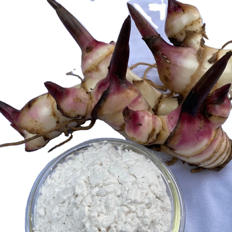 Competitive Price Natural Arrowroot Starch made in Viet