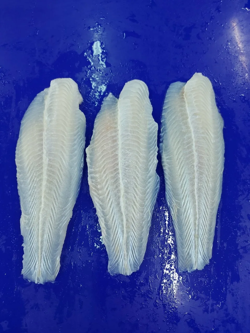 EXCELLENCE IN FROZEN SEAFOOD - PREMIUM PANGASIUS FILLET