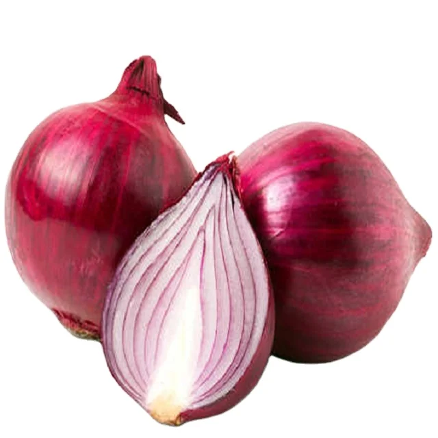 High Selling Organically Grown Red Onion Exporters at Best Wholesale Rates Exported From India By Best Suppliers