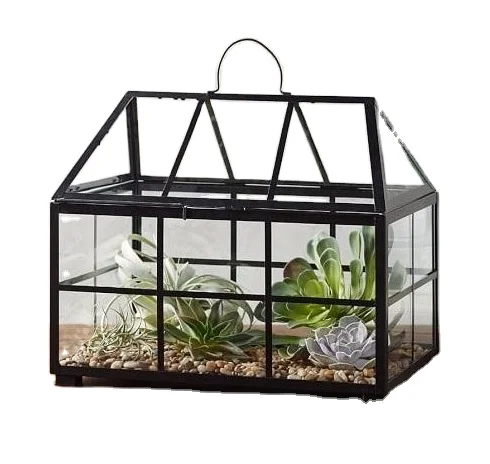 Elegant Design For Home Decoration Cage Bonsai Terrarium For Succulent Plant Handicraft Supplier From India