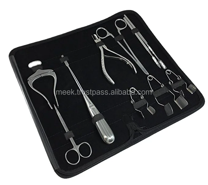 Rodent Small Animal Cheek Teeth Molar Incisor Dentistry Dental Care Kit Set Tray Rabbit Chinchilla Gerbil Guinea Pig Hamster Rat