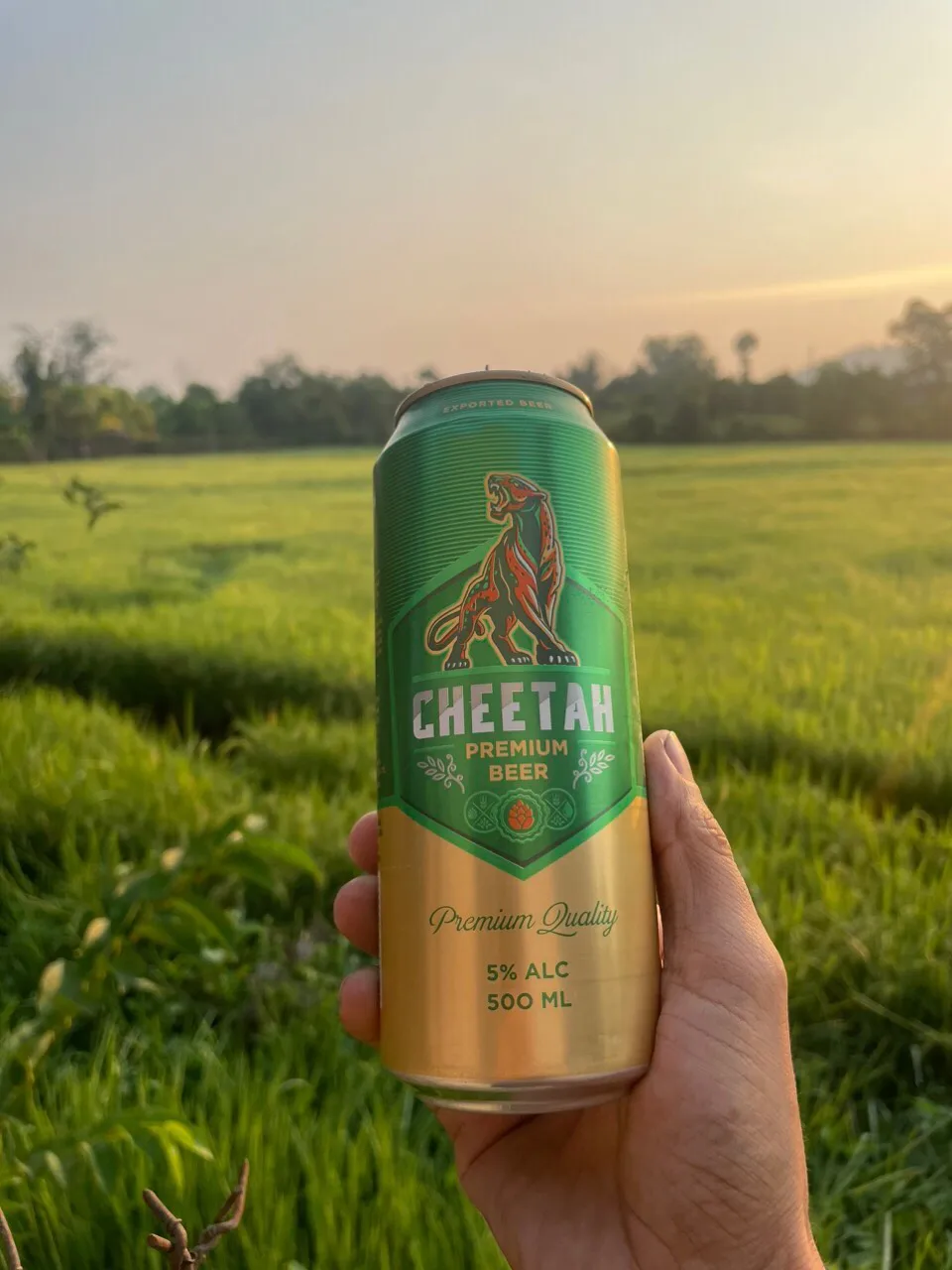 PREMIUM BEER FROM VIETNAM CHEETAH BEER HIGH CLASS BEER