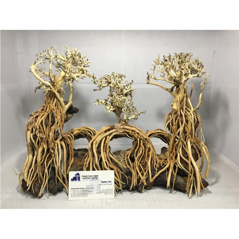 Top product 2024 Bonsai Driftwood/ aquarium plants in Vietnam for aquarium decoration WhatsApp: +84 961005832