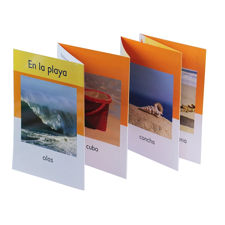 OEM Custom Design Folding Double-Sided Full Color Brochure Printing