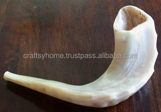 Оптовая продажа рог Shofar натурального цвета высокого качества для украшения дома ручной работы Ram