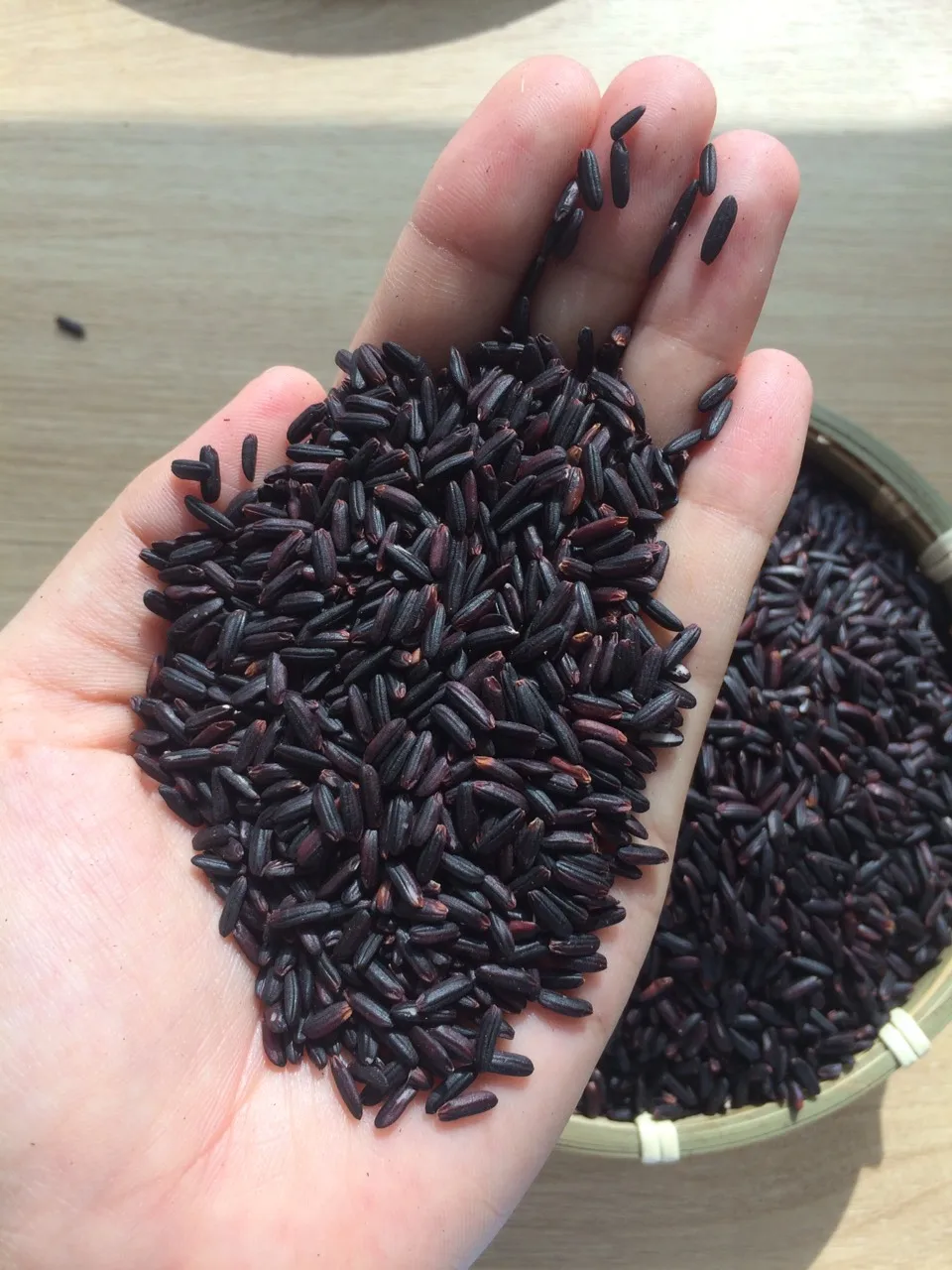 Supply Black/Red/Brown Rice for Wholesaler/Retailer/Importer with Exclusive or Private brand- WA: +84 944500504