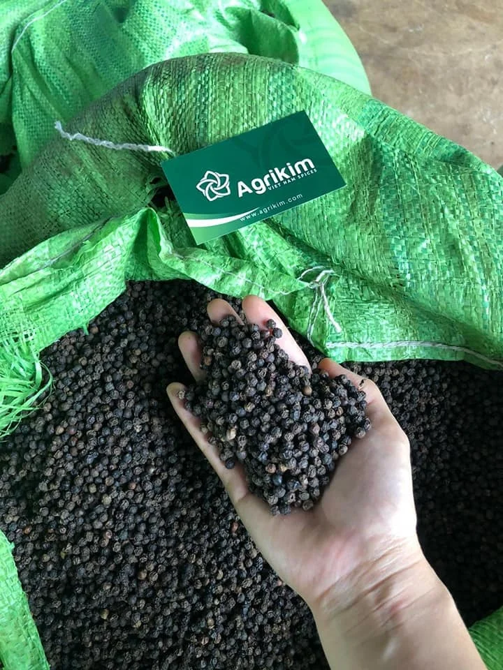 Vietnam Supplier Wholesale 550G/L Machine Cleaned Seasoning Black Pepper Whole Spice Dried Powder Cheap Price +84 368 591 192