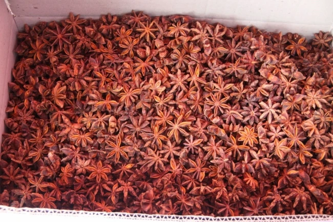 Star Anise 2022 оптовая продажа с завода Заказные специи сушеные осенние звезды Aniseeds сделано во